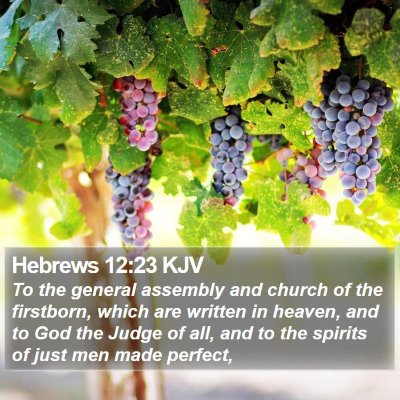 Hebrews 12:23 KJV Bible Verse Image