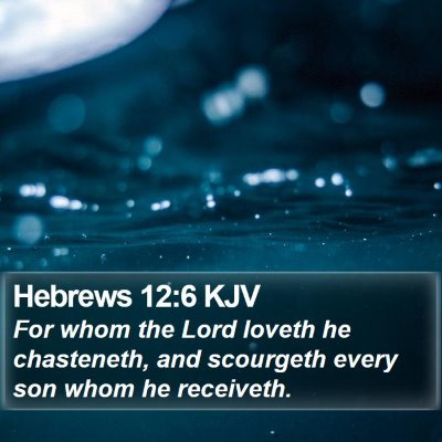 Hebrews 12:6 KJV Bible Verse Image