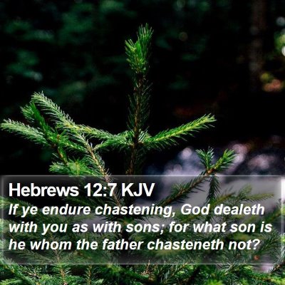 Hebrews 12:7 KJV Bible Verse Image