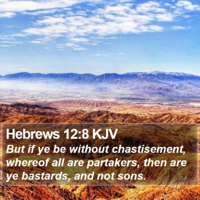 Hebrews 12:8 KJV Bible Verse Image