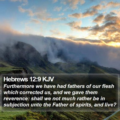 Hebrews 12:9 KJV Bible Verse Image