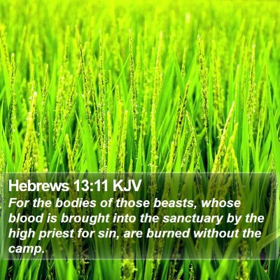 Hebrews 13:11 KJV Bible Verse Image