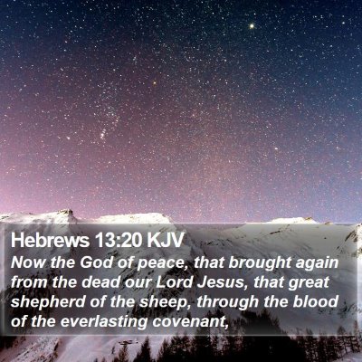 Hebrews 13:20 KJV Bible Verse Image