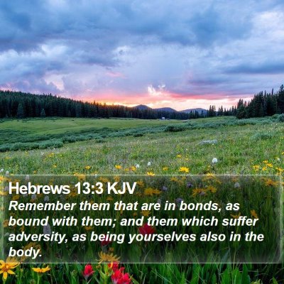 Hebrews 13:3 KJV Bible Verse Image