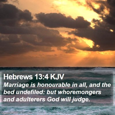Hebrews 13:4 KJV Bible Verse Image