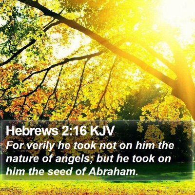Hebrews 2:16 KJV Bible Verse Image
