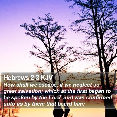 Hebrews 2:3 KJV Bible Verse Image