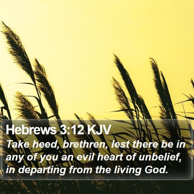 Hebrews 3:12 KJV Bible Verse Image