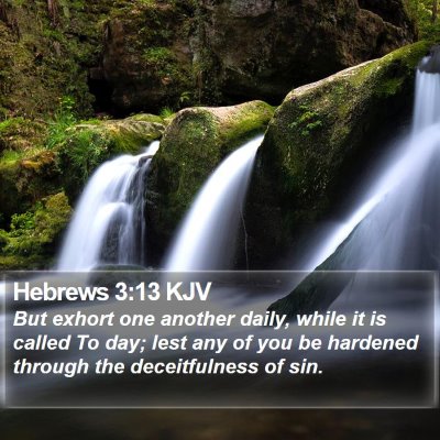 Hebrews 3:13 KJV Bible Verse Image