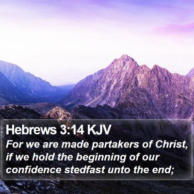Hebrews 3:14 KJV Bible Verse Image