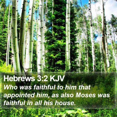 Hebrews 3:2 KJV Bible Verse Image
