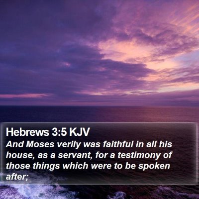 Hebrews 3:5 KJV Bible Verse Image