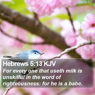 Hebrews 5:13 KJV Bible Verse Image