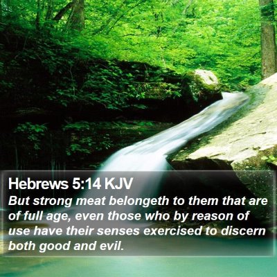 Hebrews 5:14 KJV Bible Verse Image