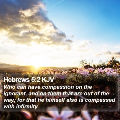 Hebrews 5:2 KJV Bible Verse Image