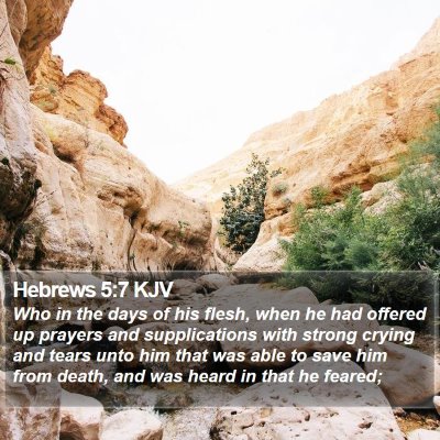 Hebrews 5:7 KJV Bible Verse Image