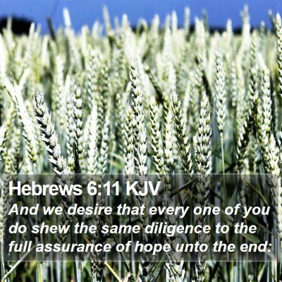 Hebrews 6:11 KJV Bible Verse Image