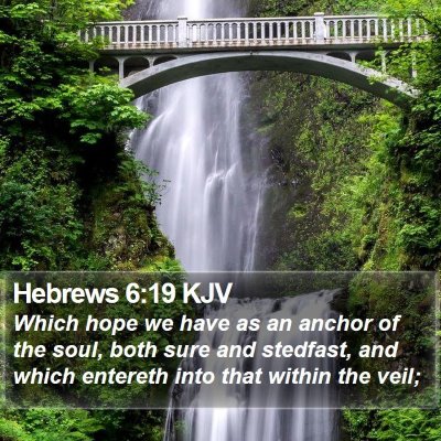 Hebrews 6:19 KJV Bible Verse Image