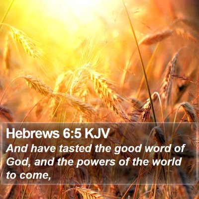 Hebrews 6:5 KJV Bible Verse Image