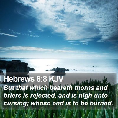 Hebrews 6:8 KJV Bible Verse Image