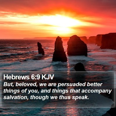 Hebrews 6:9 KJV Bible Verse Image