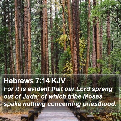 Hebrews 7:14 KJV Bible Verse Image