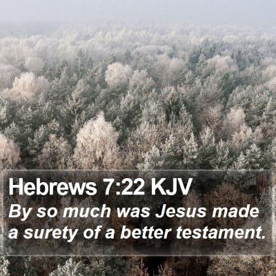 Hebrews 7:22 KJV Bible Verse Image