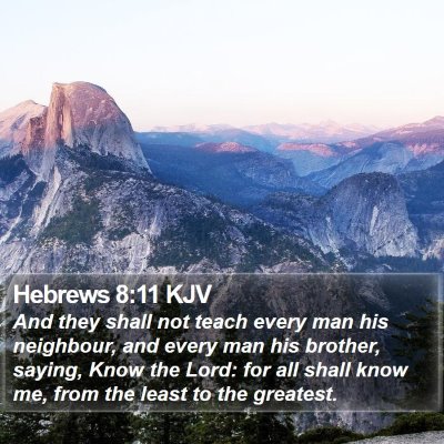 Hebrews 8:11 KJV Bible Verse Image
