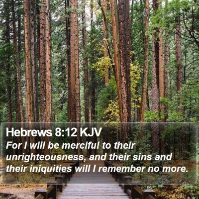 Hebrews 8:12 KJV Bible Verse Image