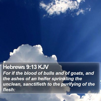 Hebrews 9:13 KJV Bible Verse Image