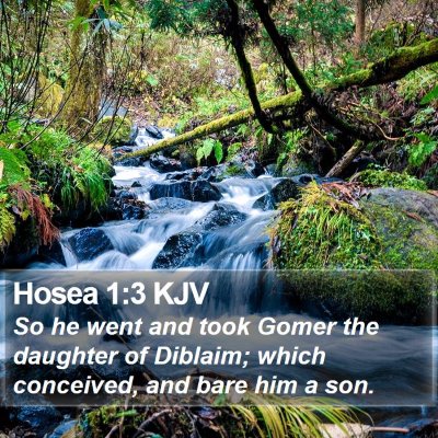 Hosea 1:3 KJV Bible Verse Image