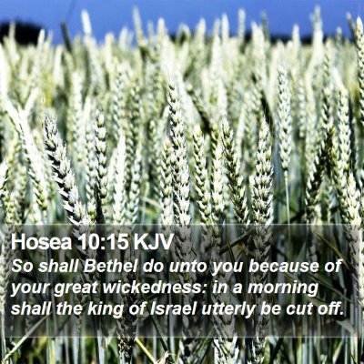 Hosea 10:15 KJV Bible Verse Image