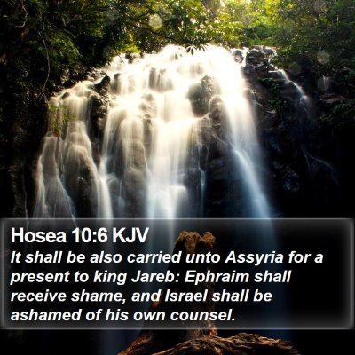 Hosea 10:6 KJV Bible Verse Image