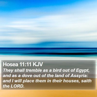 Hosea 11:11 KJV Bible Verse Image