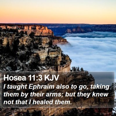 Hosea 11:3 KJV Bible Verse Image