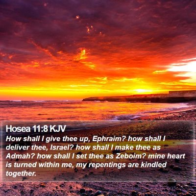 Hosea 11:8 KJV Bible Verse Image