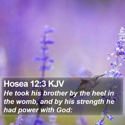 Hosea 12:3 KJV Bible Verse Image