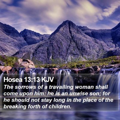 Hosea 13:13 KJV Bible Verse Image
