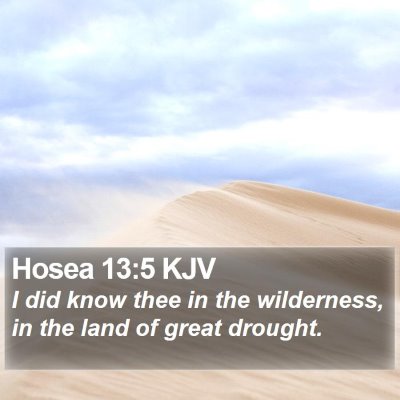 Hosea 13:5 KJV Bible Verse Image