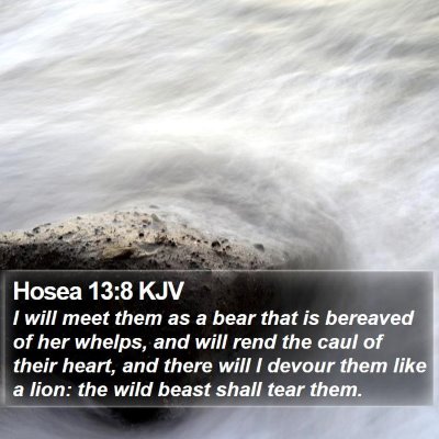 Hosea 13:8 KJV Bible Verse Image