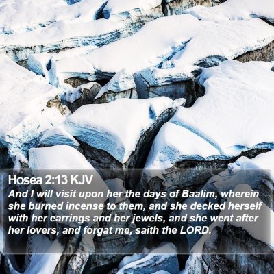 Hosea 2:13 KJV Bible Verse Image
