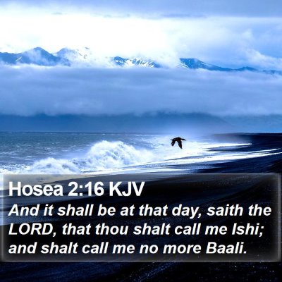 Hosea 2:16 KJV Bible Verse Image