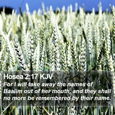 Hosea 2:17 KJV Bible Verse Image