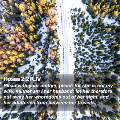 Hosea 2:2 KJV Bible Verse Image