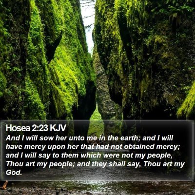 Hosea 2:23 KJV Bible Verse Image