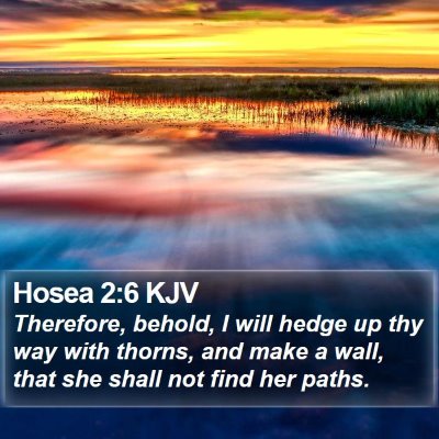 Hosea 2:6 KJV Bible Verse Image
