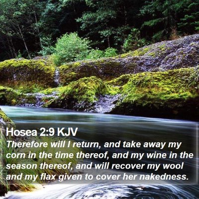 Hosea 2:9 KJV Bible Verse Image