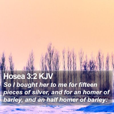 Hosea 3:2 KJV Bible Verse Image