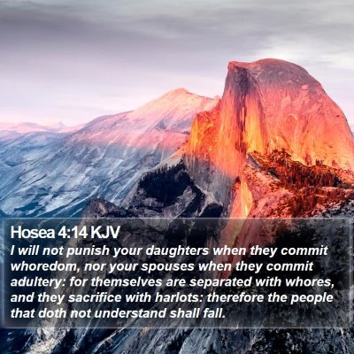 Hosea 4:14 KJV Bible Verse Image