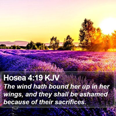 Hosea 4:19 KJV Bible Verse Image